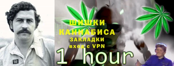 гидра Алзамай
