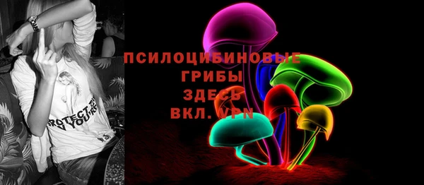 гидра Алзамай