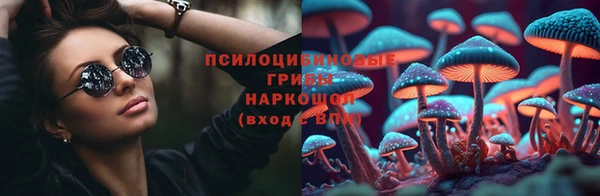 apvp Дмитровск