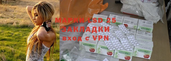 гидра Алзамай