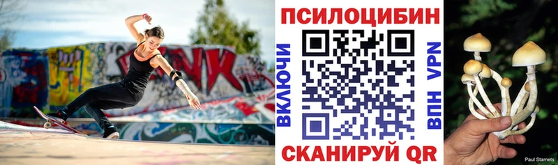 Псилоцибиновые грибы прущие грибы  продажа наркотиков  блэк спрут ССЫЛКА  Кинель 