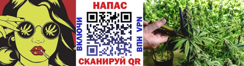 Бошки Шишки MAZAR  сколько стоит  Кинель 